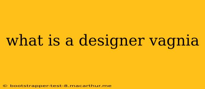what is a designer vagnia