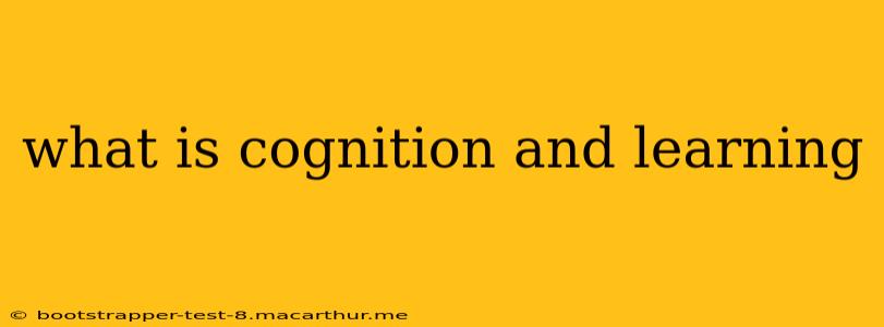 what is cognition and learning