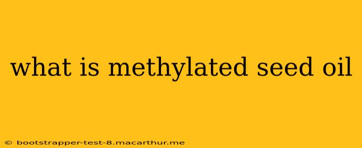 what is methylated seed oil