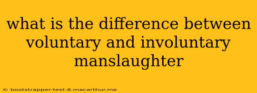 what is the difference between voluntary and involuntary manslaughter