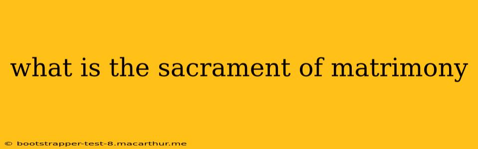 what is the sacrament of matrimony