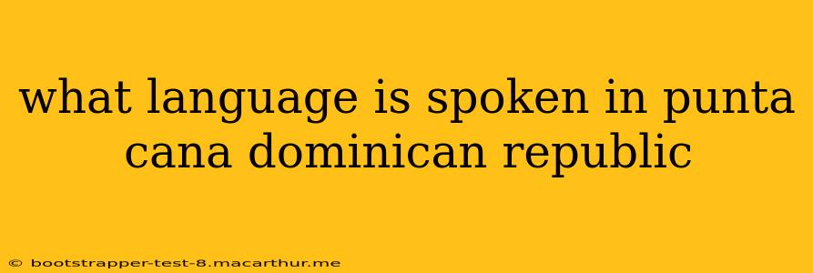 what language is spoken in punta cana dominican republic