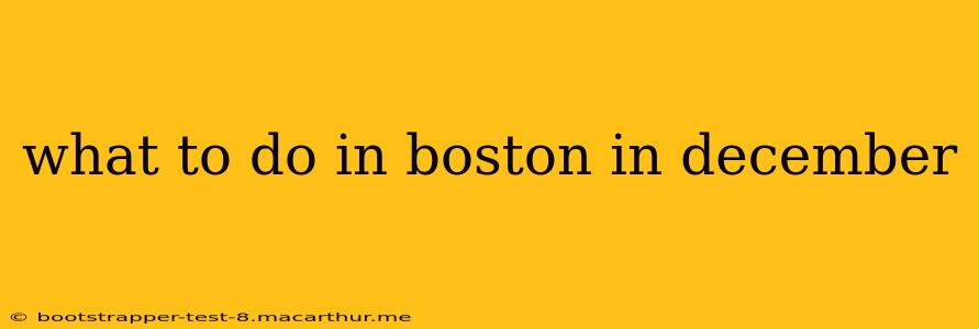 what to do in boston in december