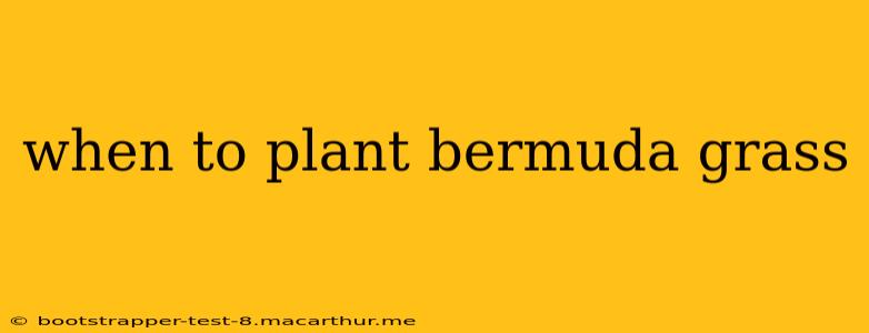 when to plant bermuda grass