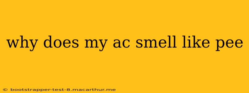 why does my ac smell like pee