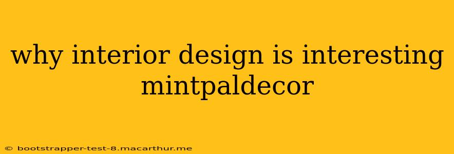 why interior design is interesting mintpaldecor