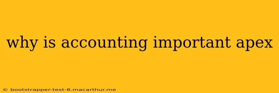 why is accounting important apex