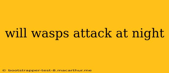 will wasps attack at night