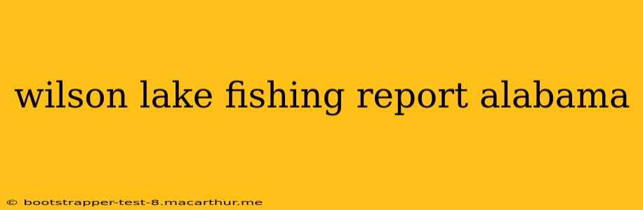 wilson lake fishing report alabama
